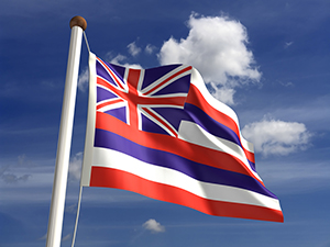 Hawaii - State Flag